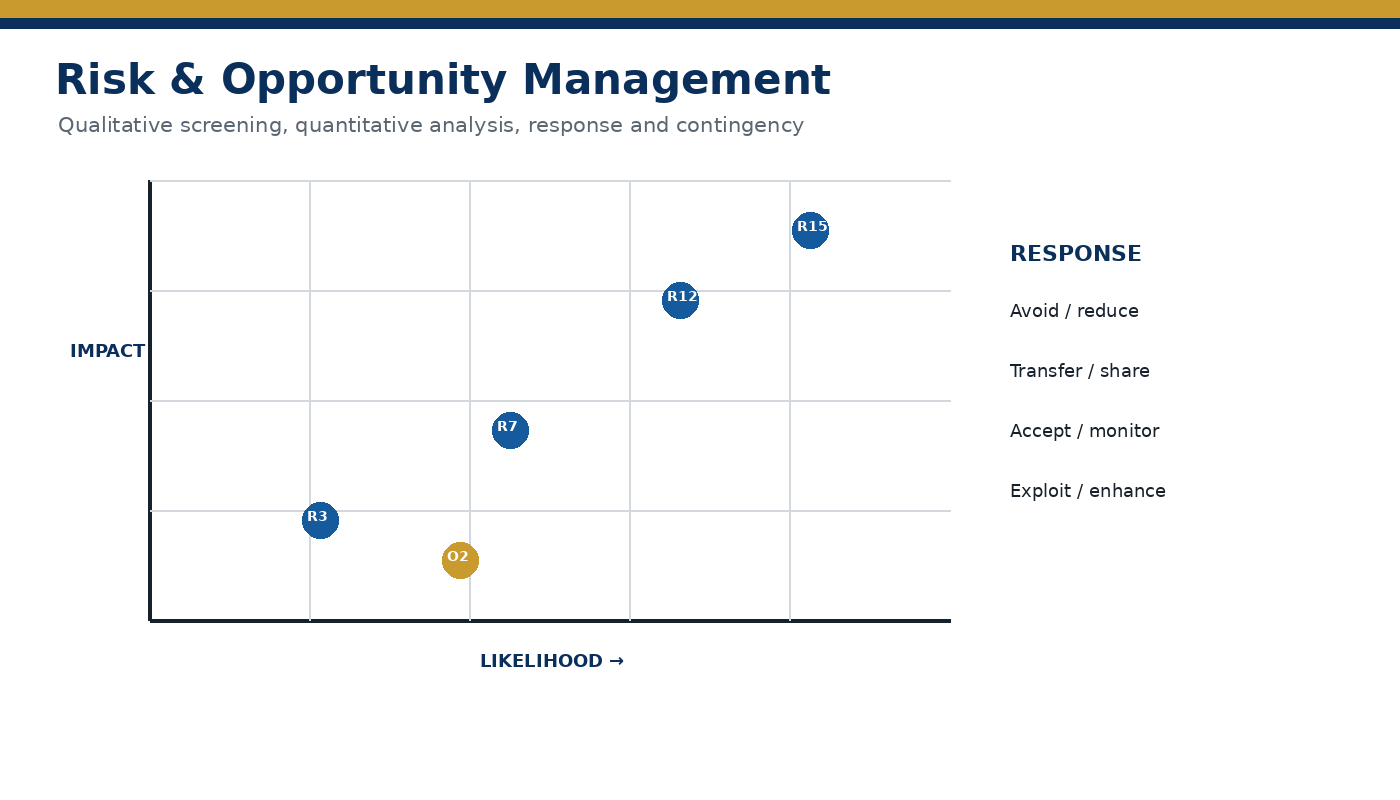 Project risk identification and opportunity matrix
